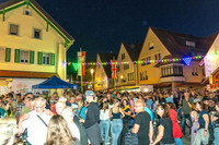Winzerfest Besigheim